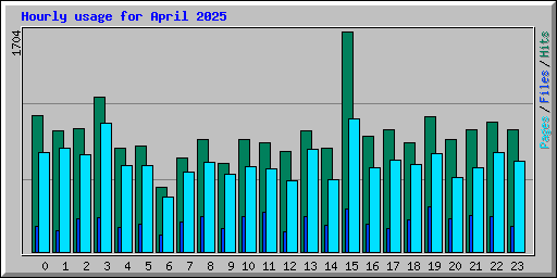 Hourly usage for April 2025
