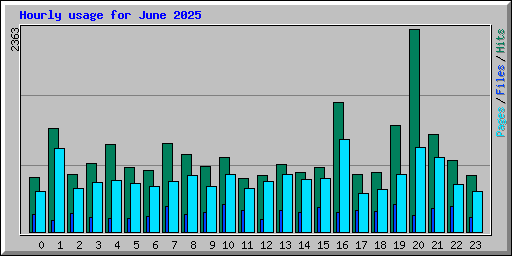 Hourly usage for June 2025