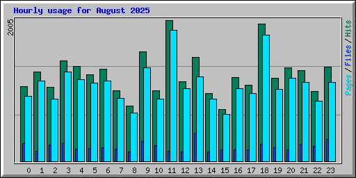 Hourly usage for August 2025