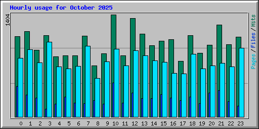 Hourly usage for October 2025