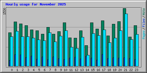 Hourly usage for November 2025