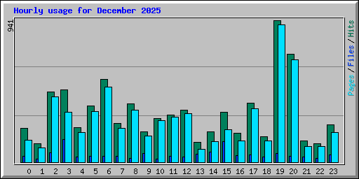 Hourly usage for December 2025