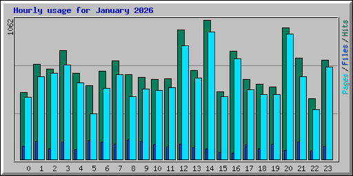 Hourly usage for January 2026